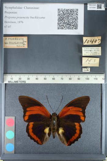 Media type: image;   Entomology 163481